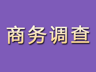 汤旺河商务调查